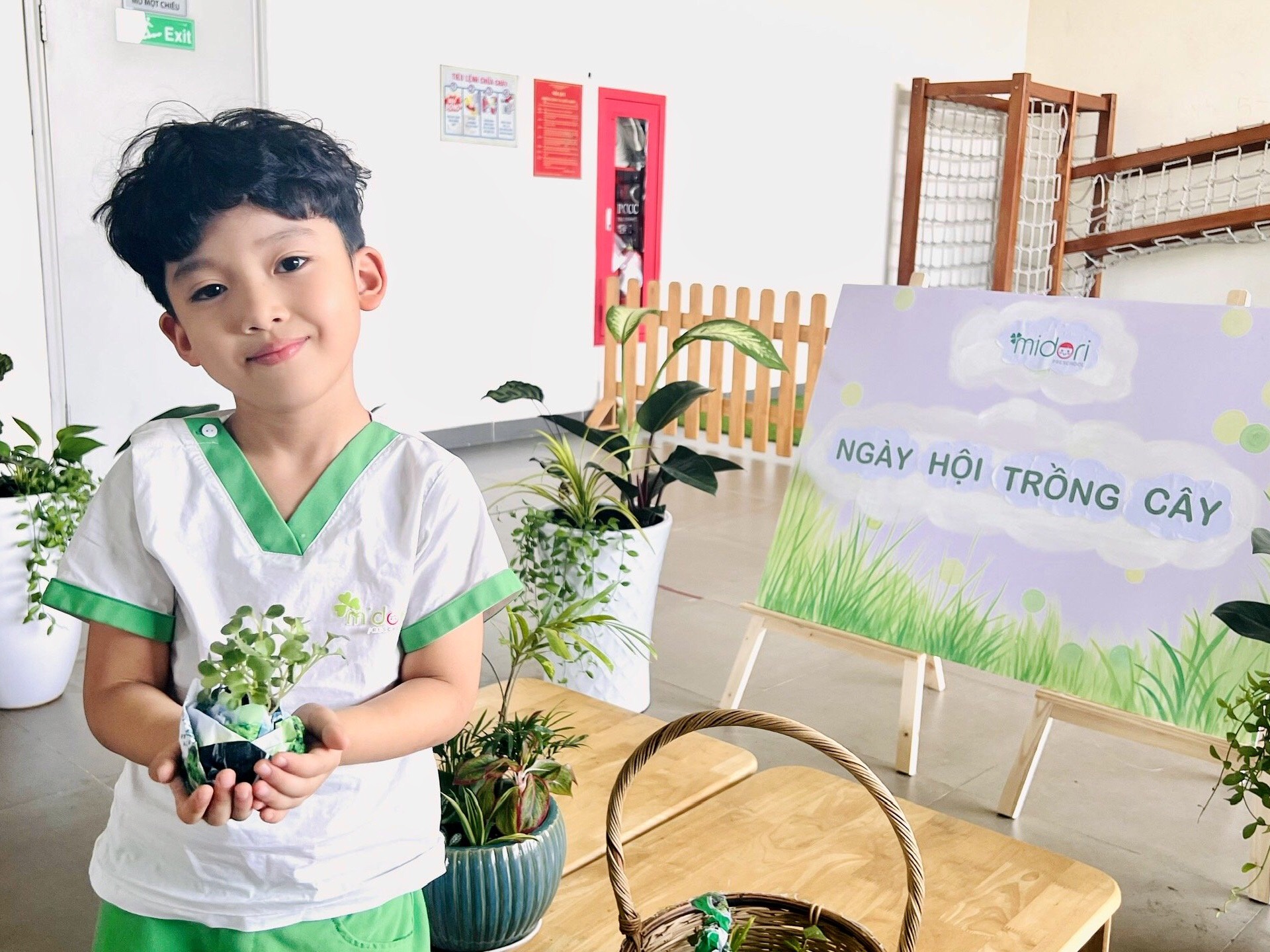 Ngày hội trồng cây