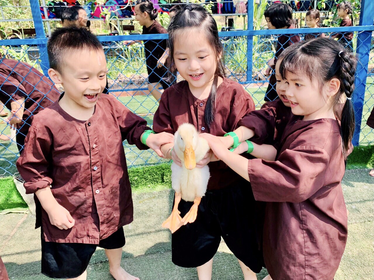 Dã ngoại nông trại Happy Farm