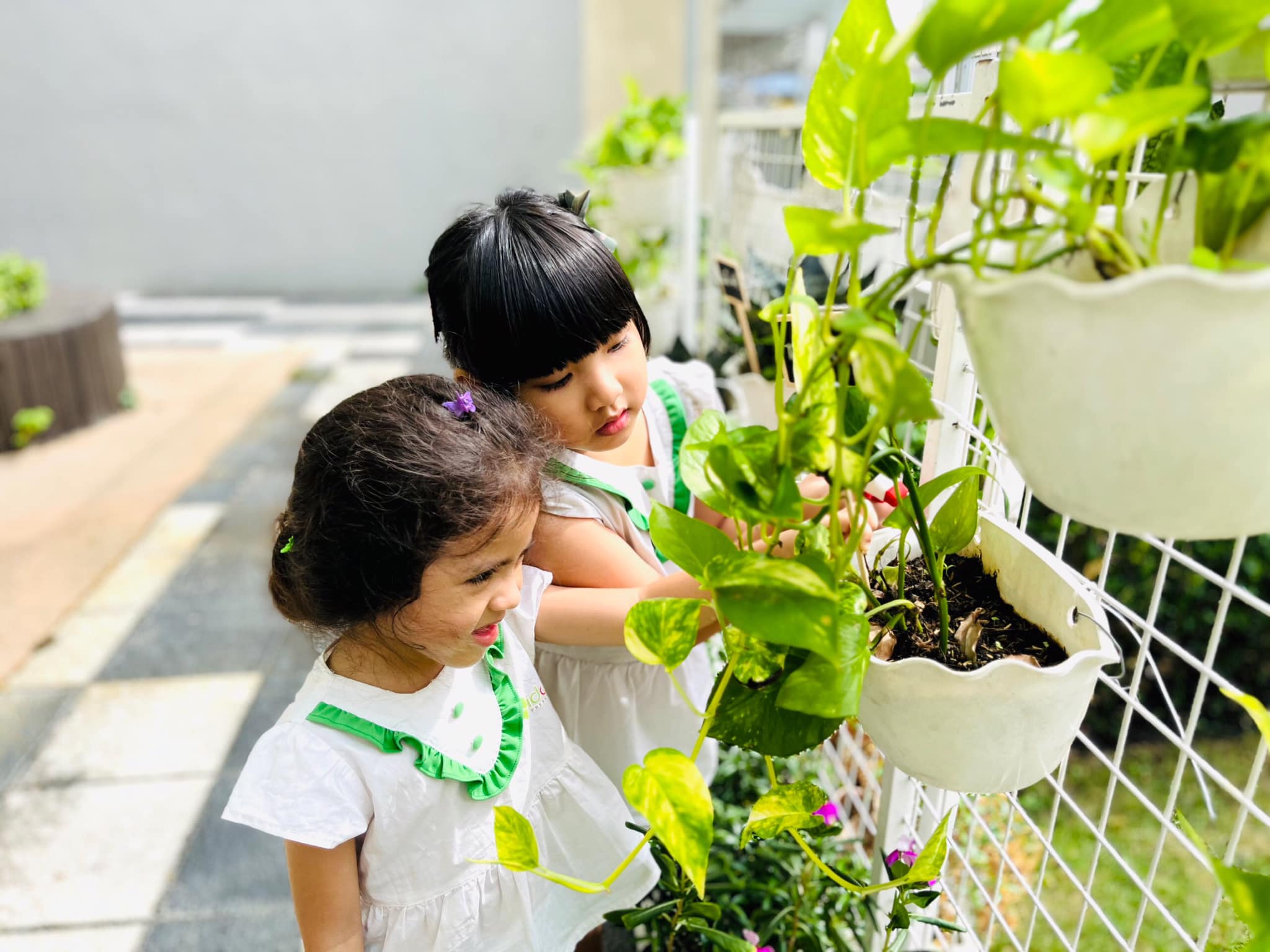 Hoạt động trải nghiệm thiên nhiên