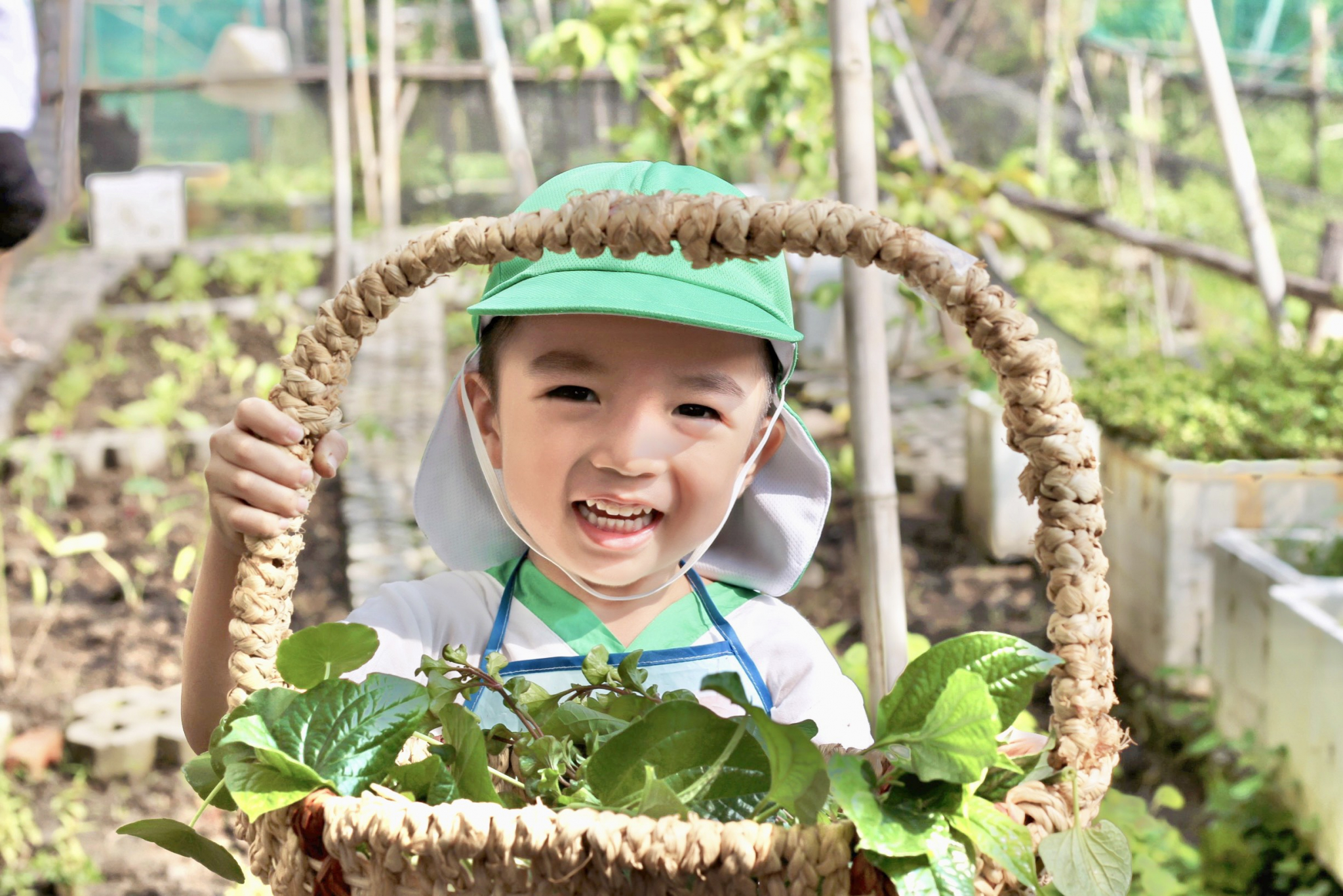 Midori Preschool tuyển sinh chương trình học mùa hè 
